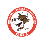 LogoWeb_Ilgua LogoWeb_Ilgua