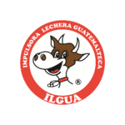 LogoWeb_Ilgua